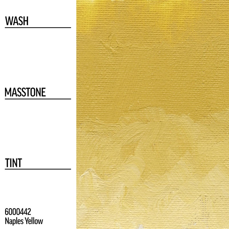 Williamsburg Artist Oil Colors by GOLDEN, Naples Yellow, 37 ml tube, Professional Oil Paint, Opaque - Image 5